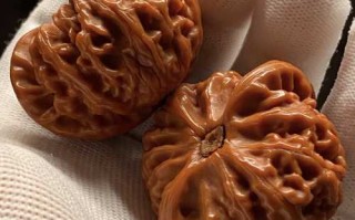 宫灯狮子头越品越有味道