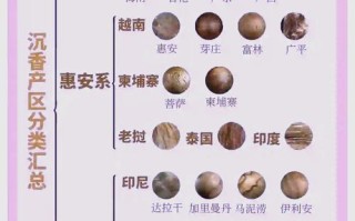 星洲系沉香产地分布，鹰木树种坚实质地与醇厚奶香特点