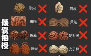 挑选麻核桃记住这几点，少走90%的弯路