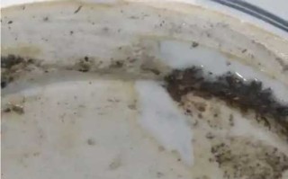瓷器火石红是怎么形成，如何辨别假火石红