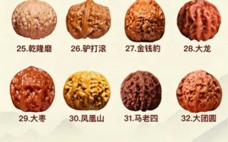 文玩核桃100个品种全整理｜狮子头、官帽、小众异形一次看懂