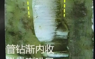 管钻、镂空与打凹工艺，解码明代琢玉密码