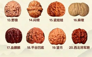 文玩核桃100个品种全整理｜狮子头、官帽、小众异形一次看懂