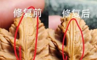 麻核桃开裂最全解析：原因、预防、修复一次性讲透