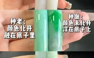 翡翠品质完整判断体系（收藏级通用：种、水、色、工、瑕疵、重量六大维度，适配古玩老翡翠+现代新翠）