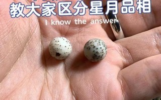 海南与东南亚星月对比，不同产地星点疏密与玉化能力差异