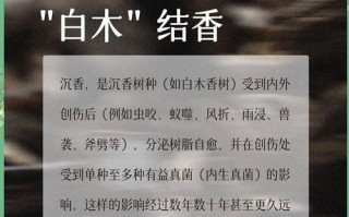 沉香结香原理详解，产地环境如何影响油脂形成与香质