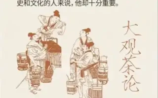 论茶