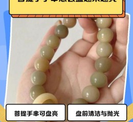 菩提子产区与油性关系，水土气候如何影响盘玩包浆效果