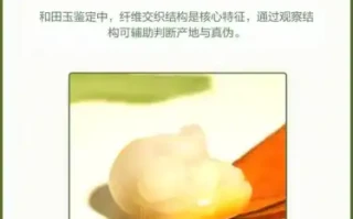 和田玉纤维交织结构（放大镜教学）