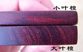 紫檀木鉴定：我在木头里看见的岁月与人心