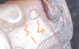 砣痕见真章：透过加工痕迹看透战汉古玉真伪
