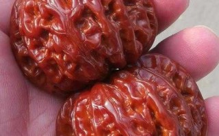 麻核桃怎么选？看皮质、看配对、看尺寸，新手别盲目追大