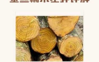 金丝楠木核心产地解析，桢楠料不同产区材质差异对比