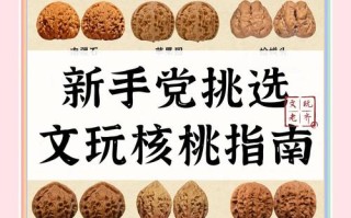 麻核桃怎么选？看皮质、看配对、看尺寸，新手别盲目追大