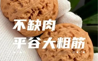 平谷大粗筋文玩核桃（陈佩霞狮子头）为什么贵？