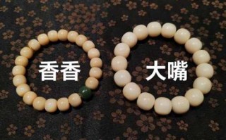 角类与牙类材质区分，新手收藏入门知识点
