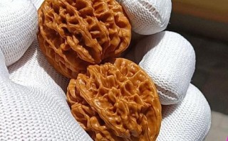 挑选麻核桃记住这几点，少走90%的弯路