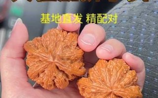 平谷大粗筋文玩核桃（陈佩霞狮子头）为什么贵？