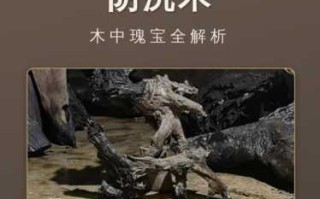 金丝楠木性解读，冬暖夏凉不易变形的天然优势