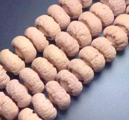 莲花菩提产区解析，酸枣核原生产地与骨质纹路形成原理