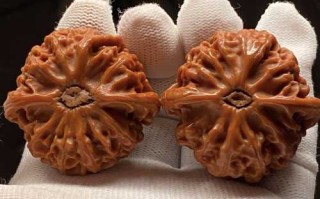 宫灯狮子头越品越有味道