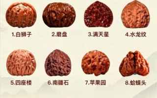 文玩核桃100个品种全整理｜狮子头、官帽、小众异形一次看懂
