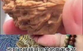 麻核桃开裂最全解析：原因、预防、修复一次性讲透