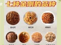 菩提产地品相评判体系，皮质、纹路、密度综合衡量标准