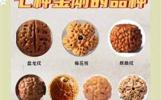菩提产地品相评判体系，皮质、纹路、密度综合衡量标准