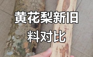 海黄大料与小料产地差异，纹理稳定性对比研究