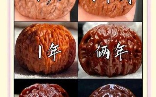 麻核桃避坑养护：开裂、反碱、花皮，这些问题如何解决