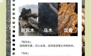 阴沉木与普通红木区分，产地来源和材质本质差异