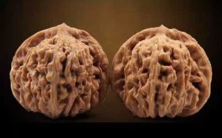 文玩核桃：狮子头（大类）VS 四座楼狮子头