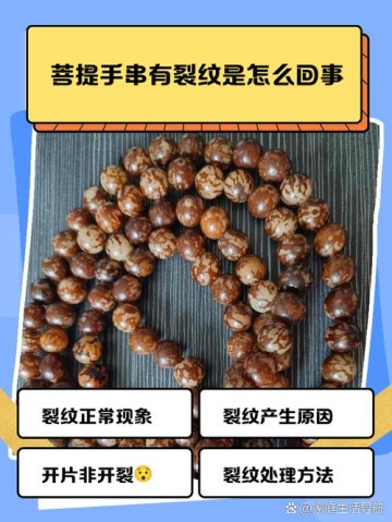 各类菩提开裂成因，产地环境决定籽料稳定性与抗裂特性