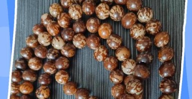 各类菩提开裂成因，产地环境决定籽料稳定性与抗裂特性