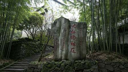 九龙窠六株原生母树大红袍：年产不足一斤，封存二十年的茶中活化石