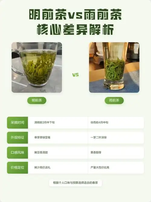 什么是雨前茶？雨前茶和明前茶有什么区别
