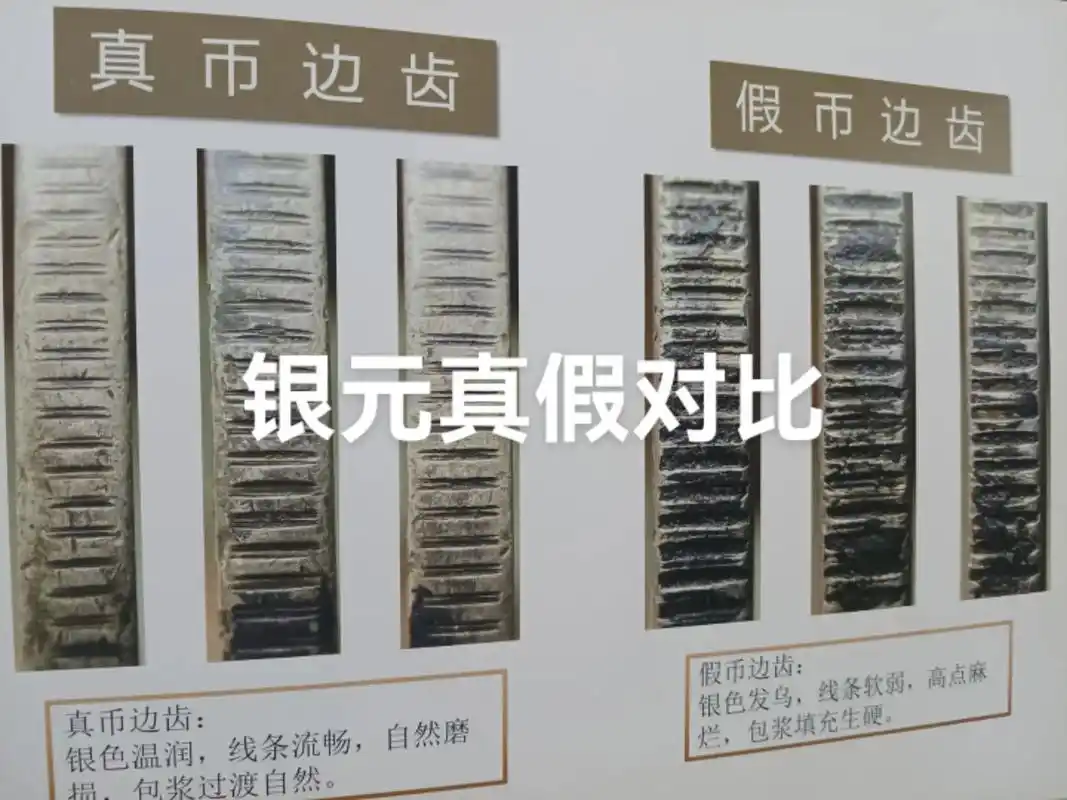 老银元真假鉴定实操，边齿压力看懂原版仿版
