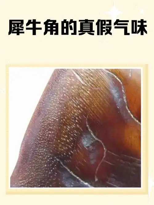 犀牛老角件开裂养护方法，湿度控制避免品相损毁