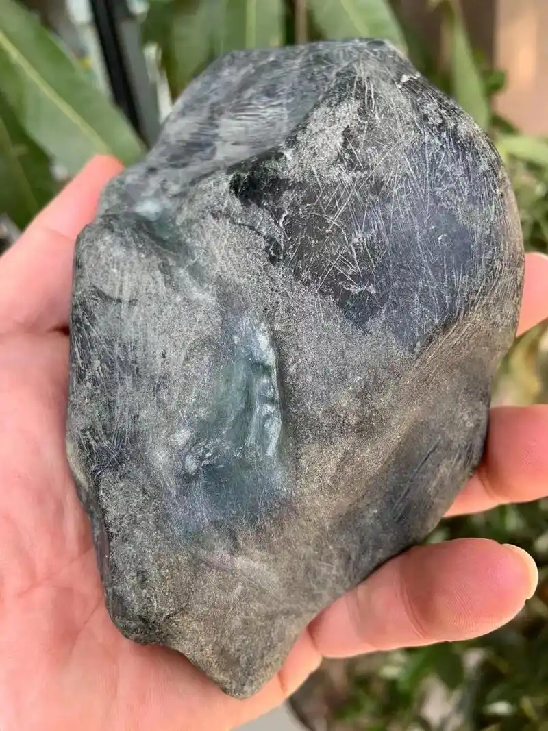 莫湾基带蟒又带癣能不能赌