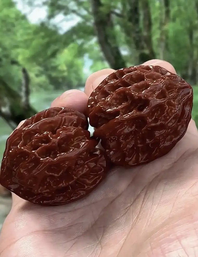 麻核桃为什么越盘越红？揭秘包浆变色的底层原理
